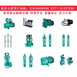 新县深井泵,泵,新界水泵上市公司各种泵型号齐全 *