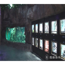 水族馆设计公司_沧州水族馆_雅瑞工程(查看)