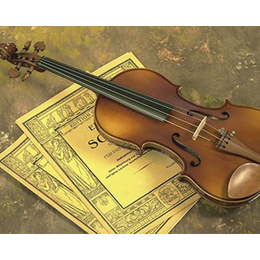 维修小提琴报价、迎泽区维修小提琴、松吟乐器行(查看)
