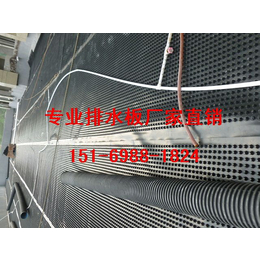 惠州2.5公分蓄排水板梅州3公分车库顶板排水板
