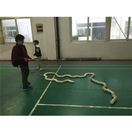 羽毛球训练|*体育(在线咨询)|吴中羽毛球