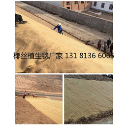 西藏环保草毯 生态毯 加筋椰丝毯 混合植被毯 植物纤维毯 