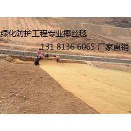 西藏椰丝毯 环保草毯护坡材料 生态毯 稻草毯 秸秆植被毯厂家