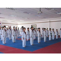 跆拳道培训、名扬武术培训学校、青少年跆拳道培训