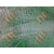 贵州贵阳六盘水安全网密目网盖土防尘网体育场*园防护网缩略图1