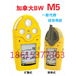 供应bwm5多气体检测仪山东总代现货促销