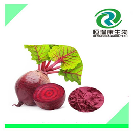 红甜菜根粉 存储条件、恒瑞康生物科技、红甜菜根粉