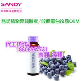上海酵素蓝莓原液OEMODM服务