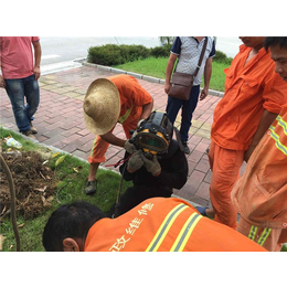 市政管道工程预算|越秀区市政管道工程|广美清洁(查看)