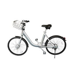 公共自行车租赁,公共自行车,法瑞纳公共自行车(图)