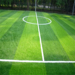 华德地毯(图)|人造草坪足球场|通辽人造草坪