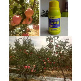 苹果树叶面肥,拜农苹果树中药叶面肥,苹果树叶面肥价格