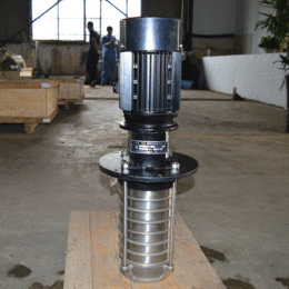 立式多级泵高温离心泵 原厂原装 QDL 管道泵 