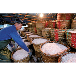 谢岗镇虾皮|富华海产品加工厂|生产盐渍虾皮