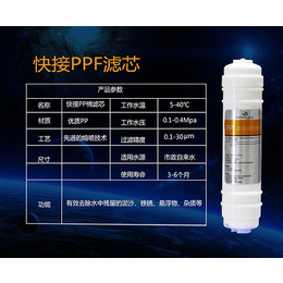 厂家*10寸韩式一体快接滤芯M6快插2分口PP滤芯缩略图