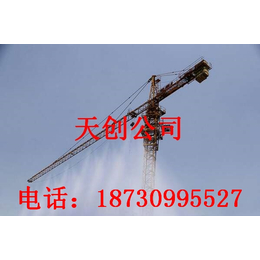 河北邢台生产工地*自动塔吊喷淋机长期供应