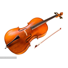 大提琴老师|南宁大提琴|音妙艺术传播中心(查看)