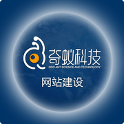 泰安市奇蚁信息科技有限公司