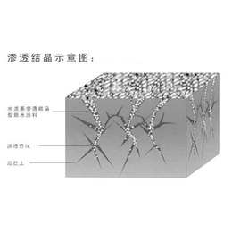 水泥基渗透结晶防水涂料 新型涂料环保*