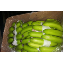 上海市香蕉保鲜冷库厂家建设 找安徽雪坊制冷