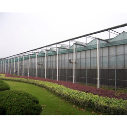 合肥玻璃温室|合肥新一佳|智能玻璃温室价格