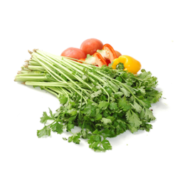  生态农产品 有机蔬菜食物  芹菜