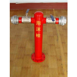供应厂家*PMS100-65-1.6S室外泡沫消火栓