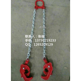 立诗顿(图)、大吨位链条吊索具、链条索具