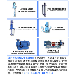 耐高温液下泵价格,江苏长凯机械公司,液下泵