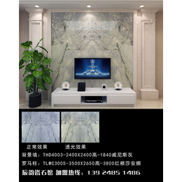 广州瓷砖报价|辰韵陶瓷(在线咨询)|广州瓷砖