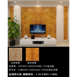 广东瓷砖 客厅、广东瓷砖、辰韵陶瓷就是好！(查看)