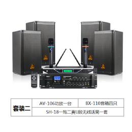 随州会议音响、会议音响报价、无线话筒(****商家)