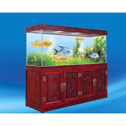 大型鱼缸制作、忻州鱼缸、海之星水族公司地址
