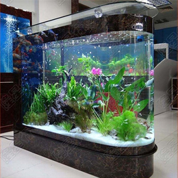 山东小型生态鱼缸,小型生态鱼缸价格,利尔森水族【加盟】