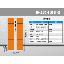 智能柜厂家,衡阳智能柜,强固(查看)