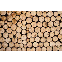 锯材：针叶林和阔叶林木材的五类划分