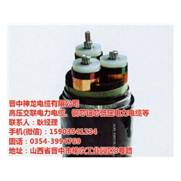 高压电力电缆定制_神龙电缆(在线咨询)_高压电力电缆