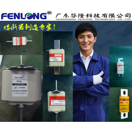 FENLONG品牌RS72A快速熔断器