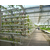 亳州温室大棚,合肥新一佳,蔬菜温室大棚缩略图1