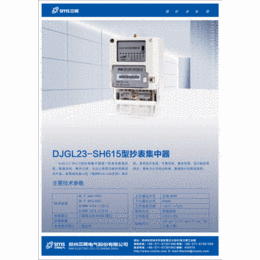 河南郑州电表自动抄表国网表DJGL23SH615型抄表集中器