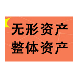 资产评估 *评估 司法评估 损失评估 设备评估