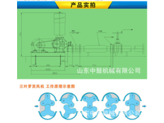 QQ截图20170804105422.png