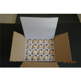 蛋托海绵|*塑料包装(在线咨询)|濮阳蛋托