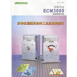 ECM3000G0110日本YAMATAKE山武电动执行器