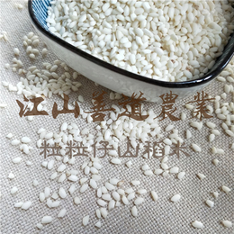 品牌山稻米,善道农业(在线咨询),山稻米