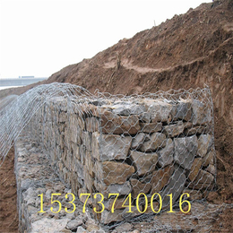 高锌石笼网箱 水利工程推荐产品 安平鑫隆丝网*0305