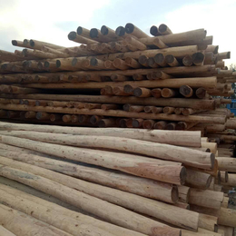 通信木杆加工定制油炸杆木质电线杆生产厂家****木材油木杆批发