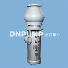 防讯 排雨水泵  临时轴流泵