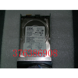 IBM 5223 39M4594  DS4700 硬盘