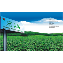 特色农产品,南京农产品,宏鸿农产品集团(多图)